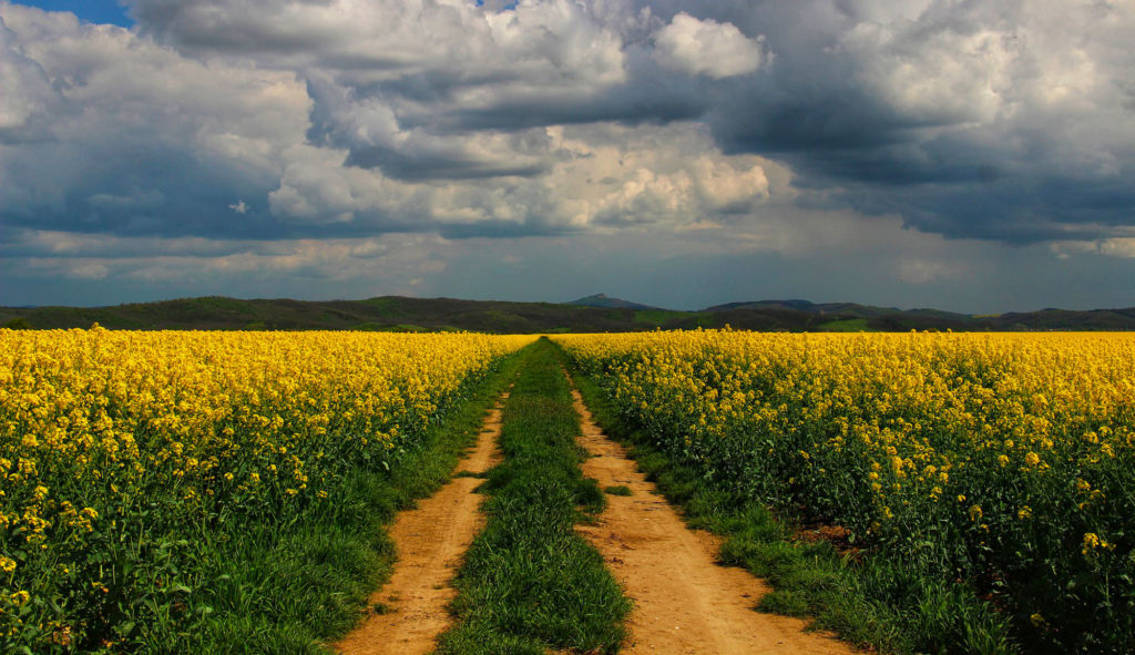 Météo : pluies orageuses et vents forts sur plusieurs régions