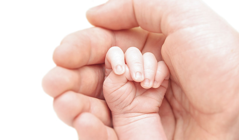 Fin janvier 2026 : Achèvement des travaux de rénovation du...