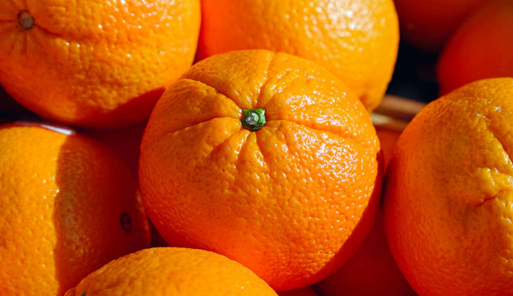 Président de l’Union agricole de Nabeul : « L’entreprise de...