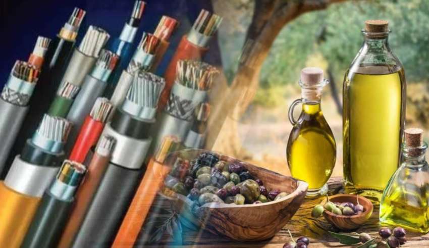 L’huile d’olive et les câbles électriques tunisiens conquièrent l’Afrique de l’Ouest