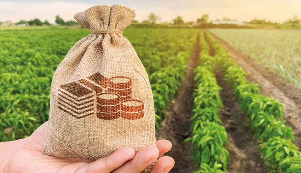 Investissements agricoles : la valeur des projets en hausse de...