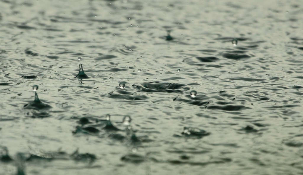 Jusqu’à 100 mm de pluie en 36 heures : alerte sur plusieurs régions tunisiennes