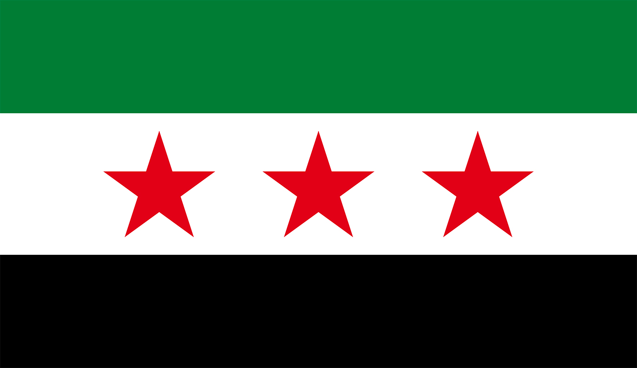 La Syrie commémore  le premier anniversaire de la chute...