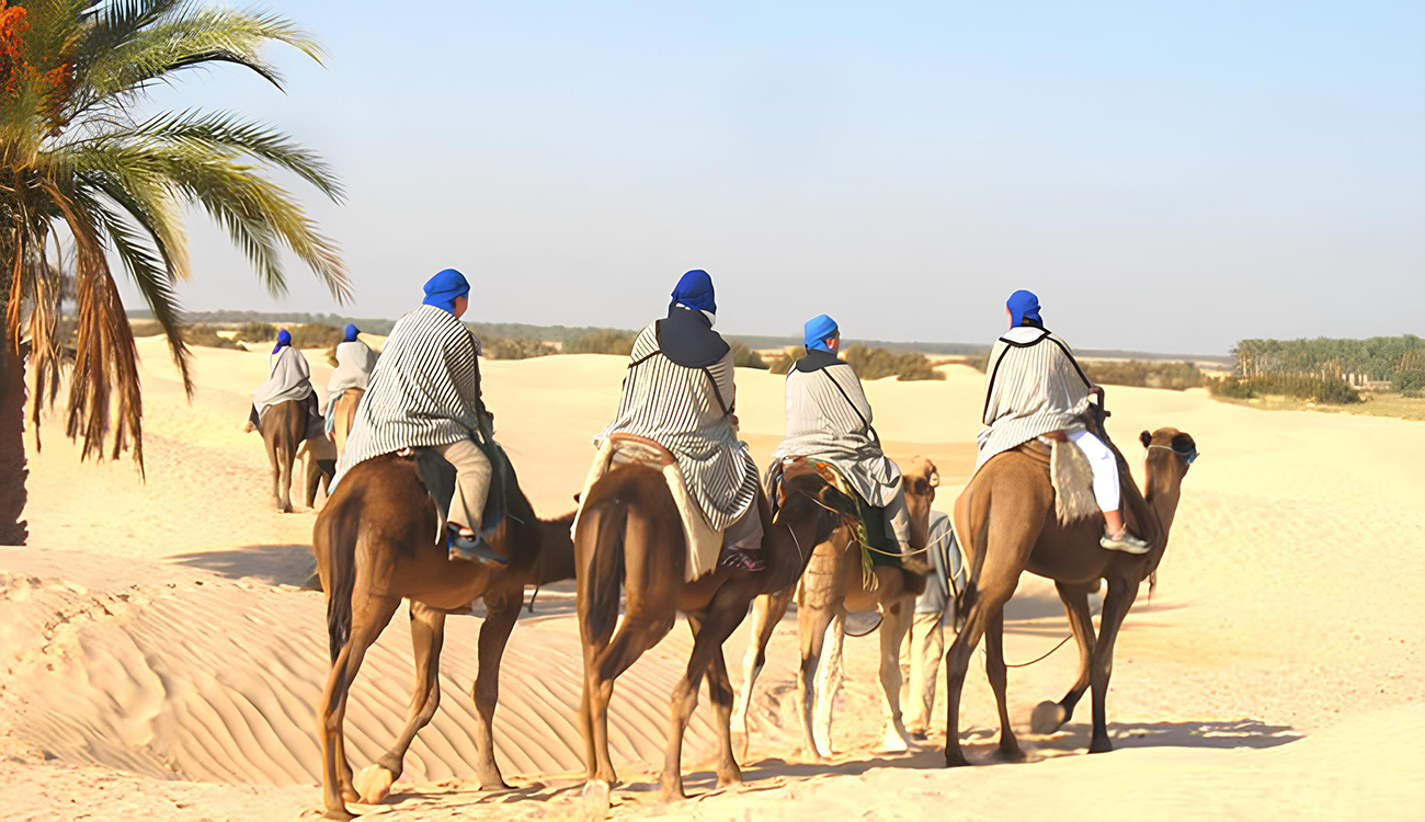 Tozeur-saison touristique hivernale : des hôtels fermés réouvrent leurs portes