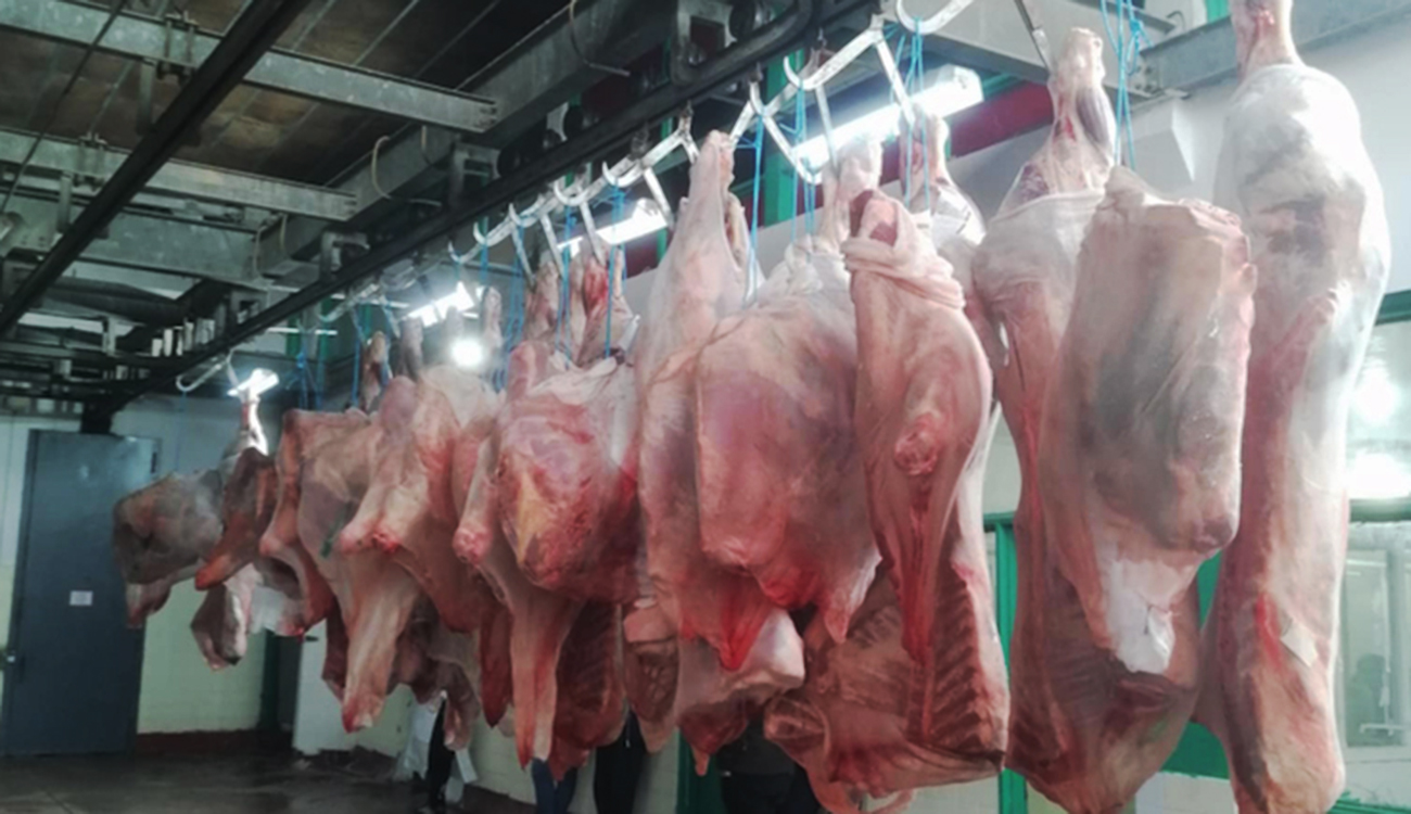 Bizerte: saisie de 142 kg de viande rouge impropre à la consommation