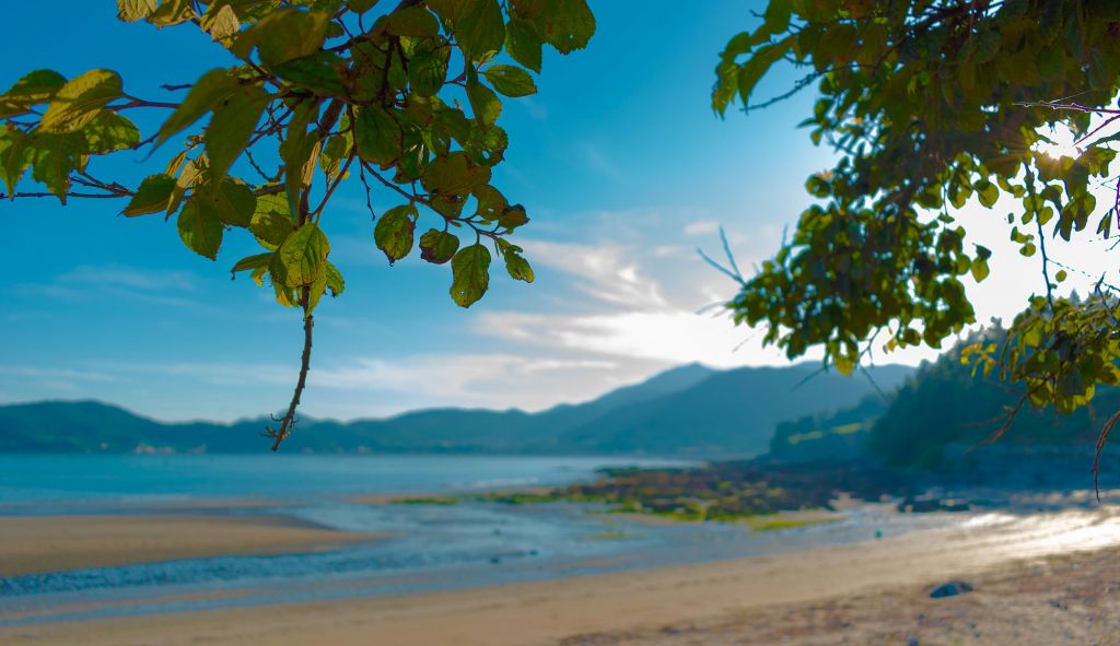 Météo : Ciel dégagé et peu nuageux sur la plupart des régions
