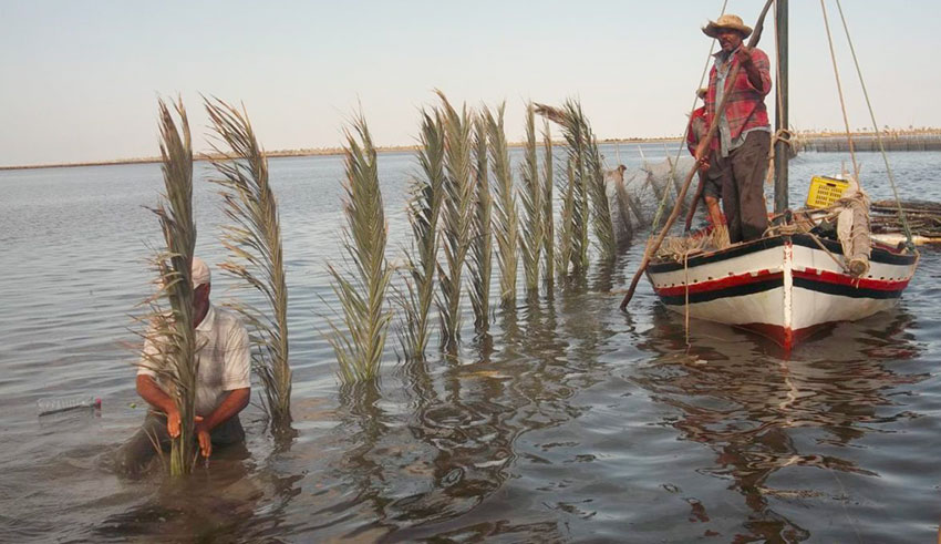 Pêche : la balance commerciale affiche un excédent de 225...