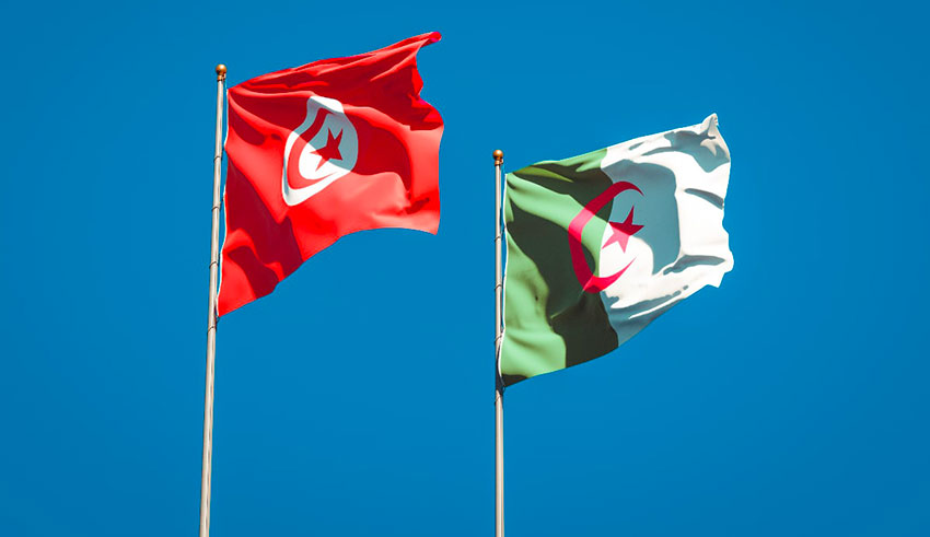 Tunisie–Algérie : une alliance militaire révisée face aux nouveaux défis...
