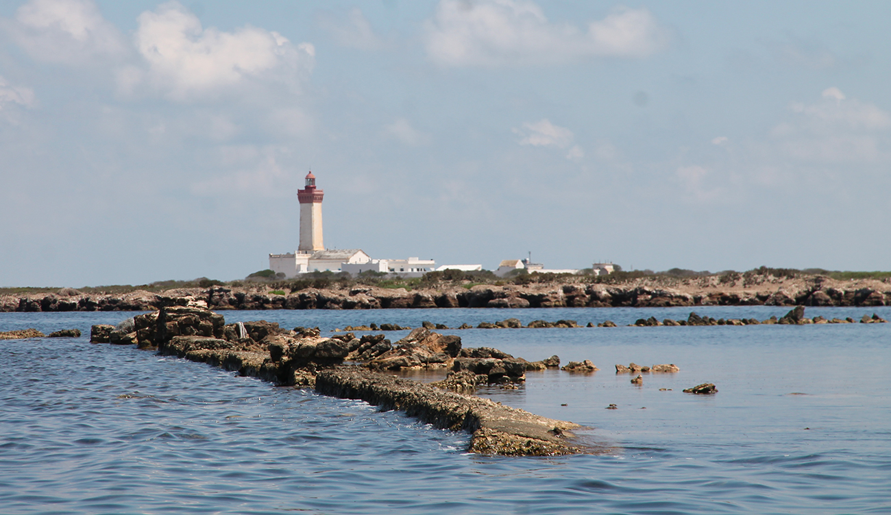 La Tunisie lance sa première réserve marine dans les îles Kuriat