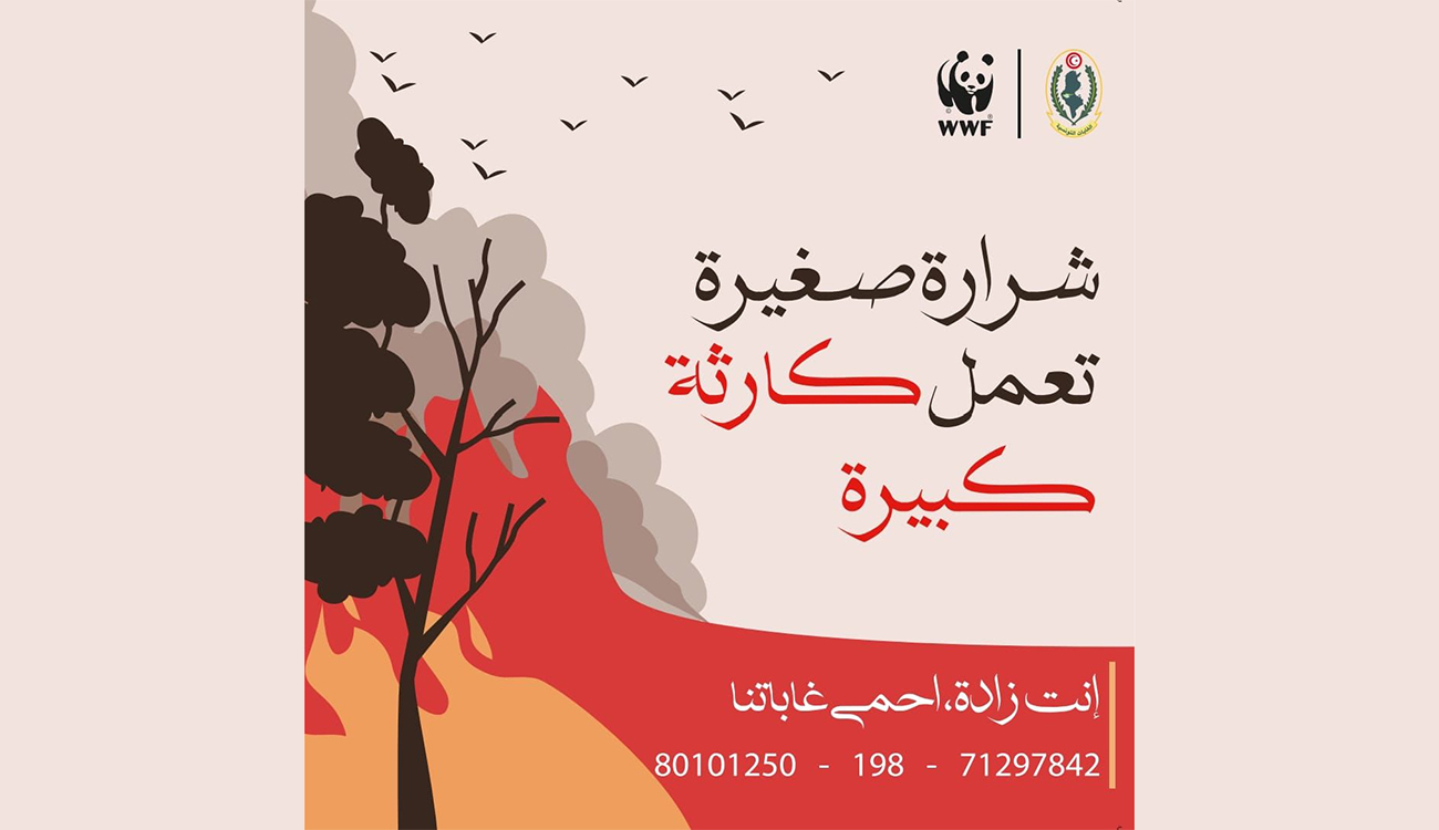 Incendies de forêts : Les autorités appellent à signaler tout départ de feu