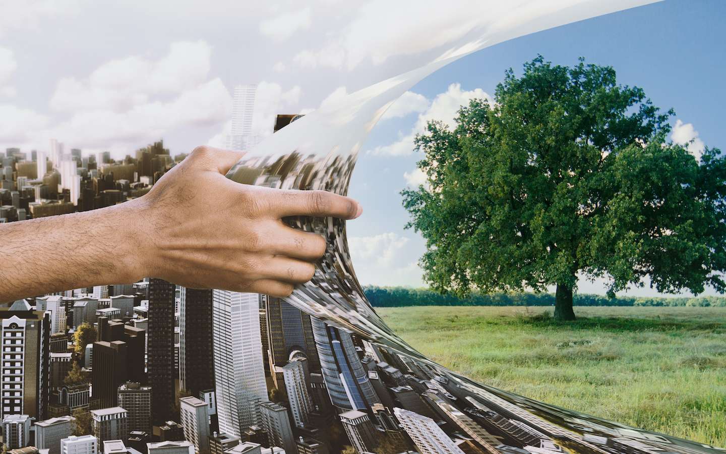 Tunisie : Vers une ceinture verte pour contrer l’urbanisation et le changement climatique