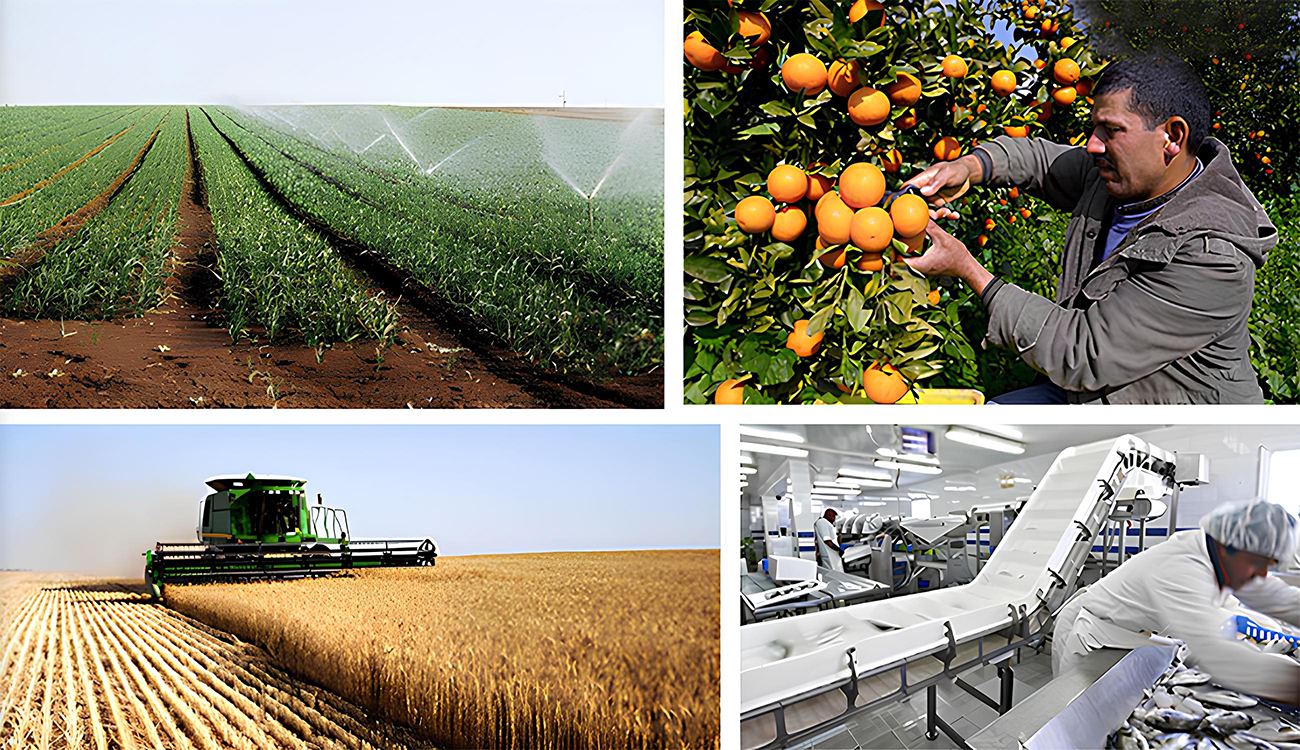 Indice du développement régional : Bâtir des régions dynamiques et compétitives