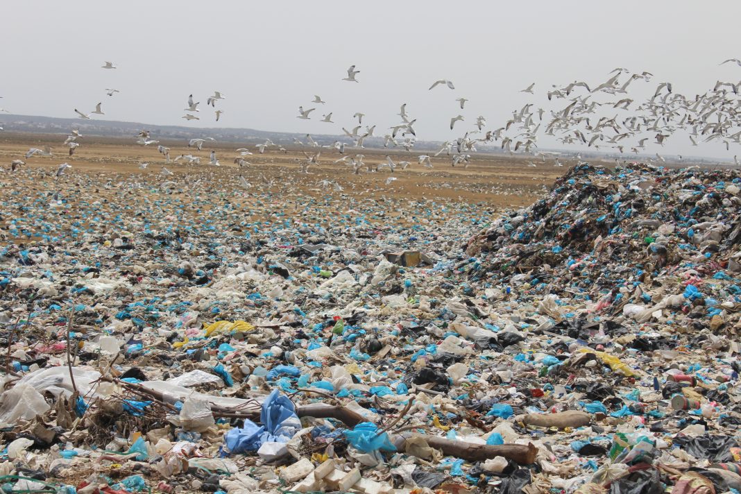 Fuite de lixiviat à Manzel Bouzelfa : une décharge incontrôlée menace la nappe phréatique et les terres agricoles