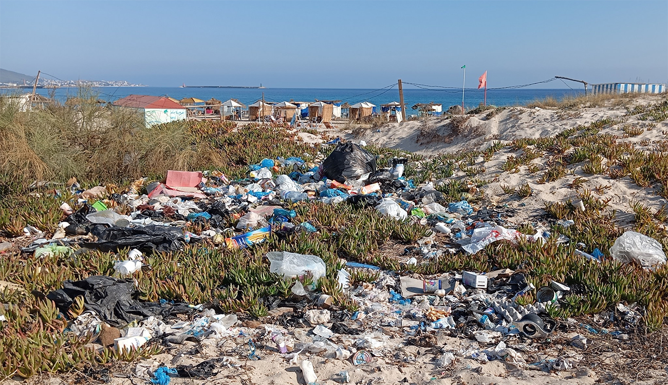 Déchets en Tunisie : cap vers 6 millions de tonnes,...