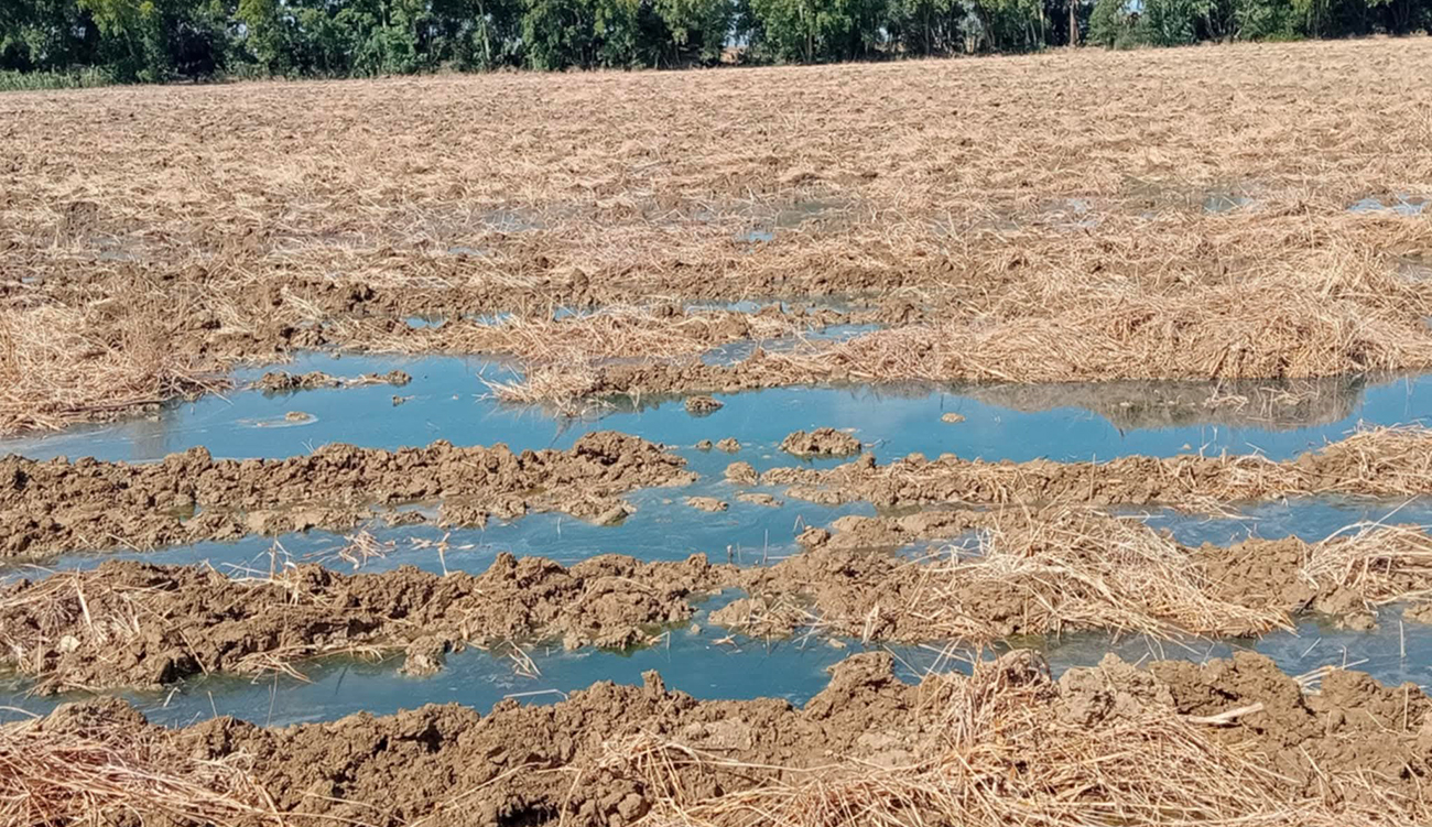 Agriculture : Nabeul et Zaghouan les plus touchées par les...