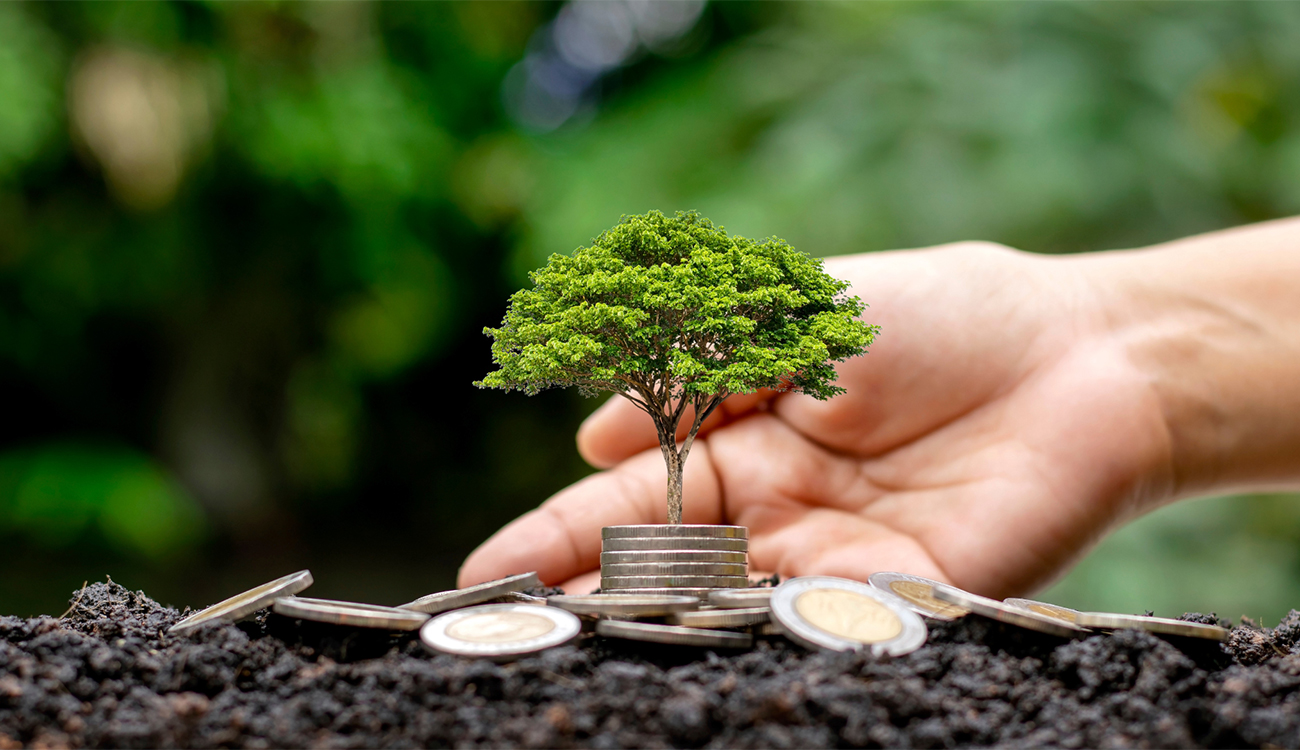 La ligne d’or : L’écologie comme levier de croissance