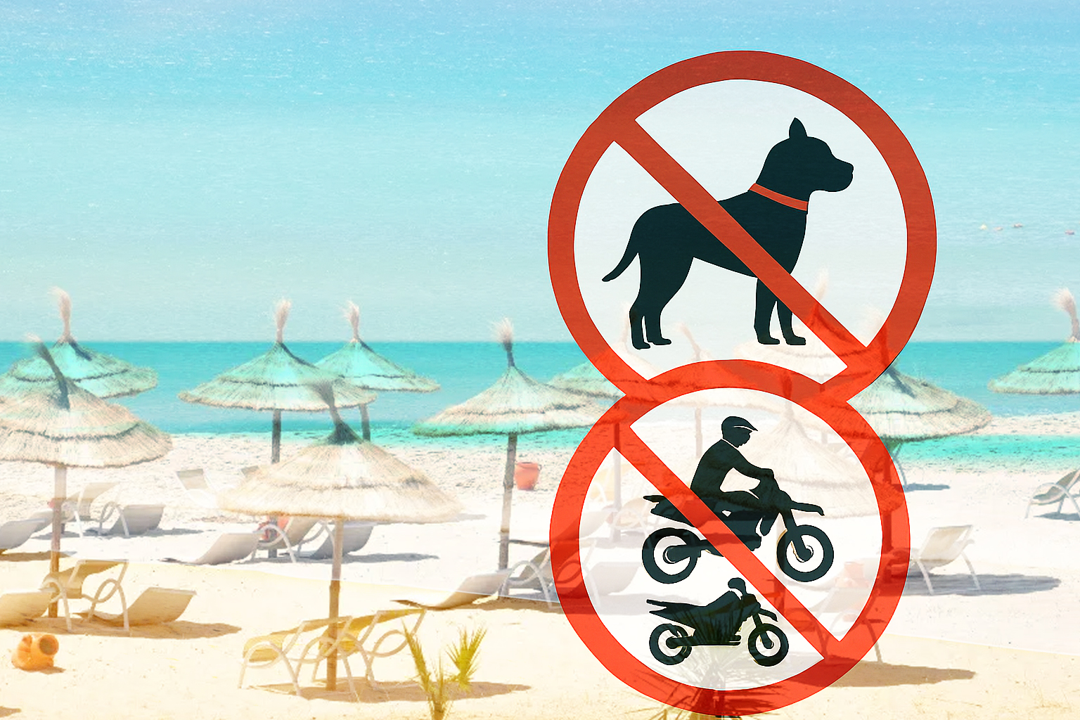 Chiens, quads, motos… Hammamet renforce les règles sur ses plages