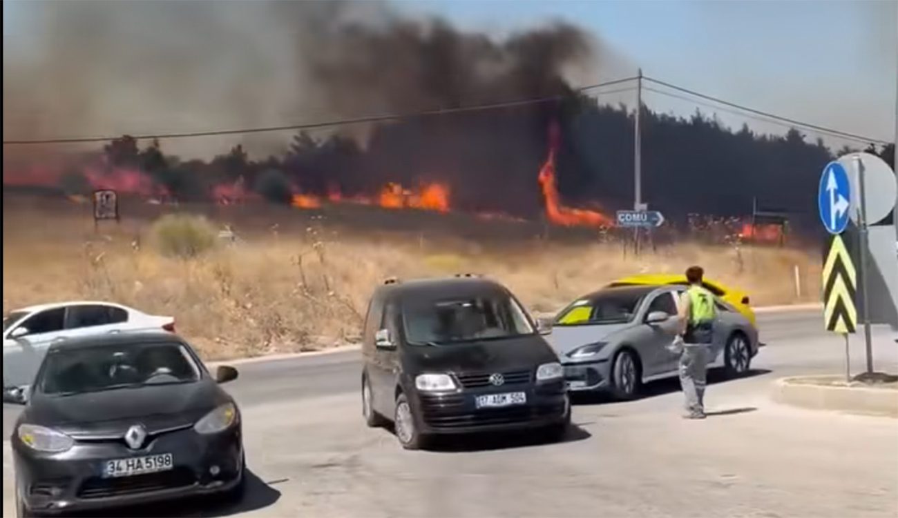 Turquie : un feu de forêt progresse vers des zones résidentielles dans le nord-ouest