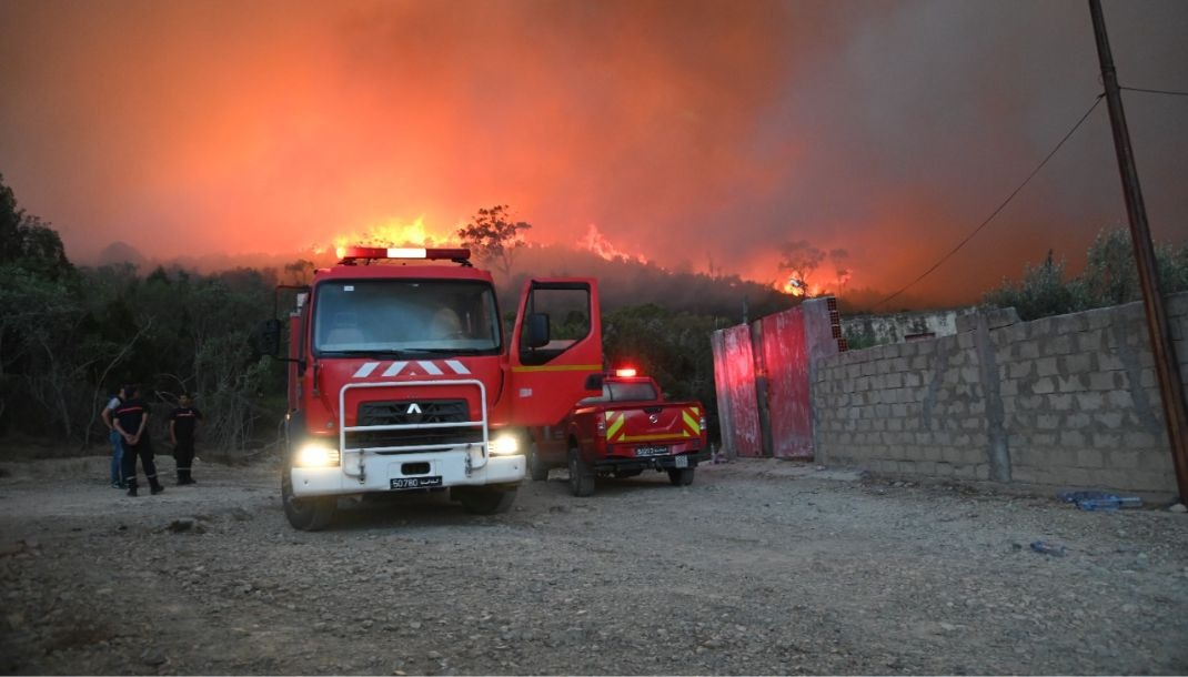 Siliana : L’incendie au Djebel El Frechich à Misrata maitrisé