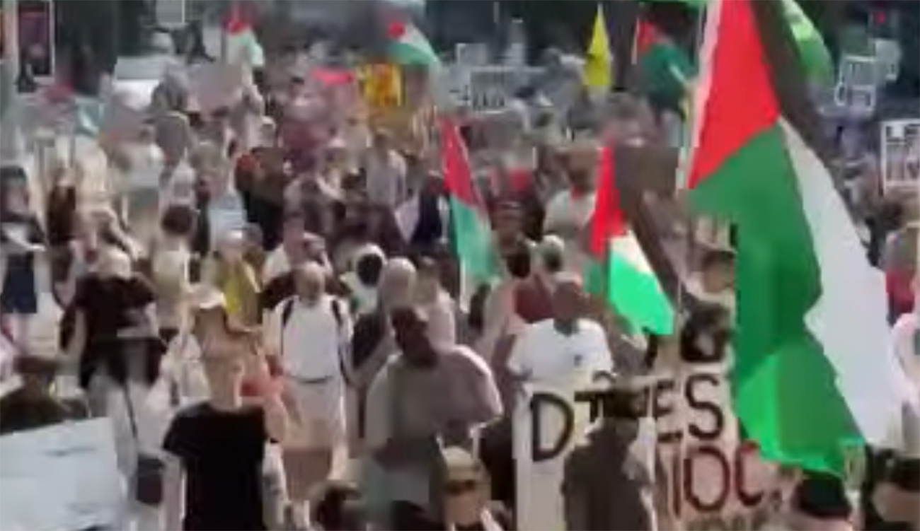 États-Unis : manifestation au Texas contre la guerre à Gaza