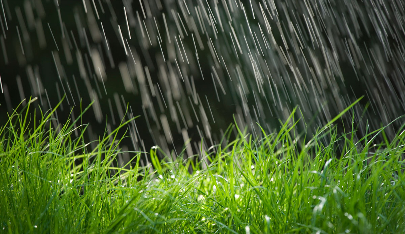 Des pluies et des orages attendus sur le nord du...