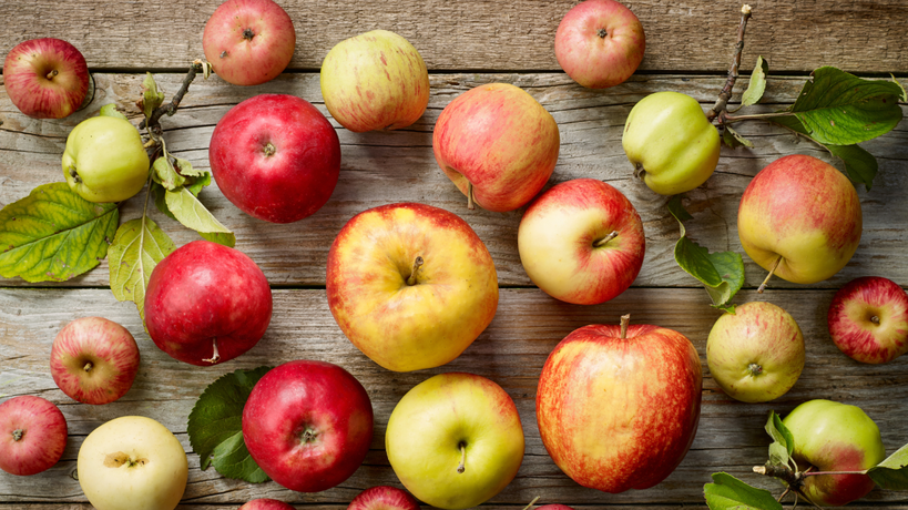 Kasserine : hausse notable de la production de pommes