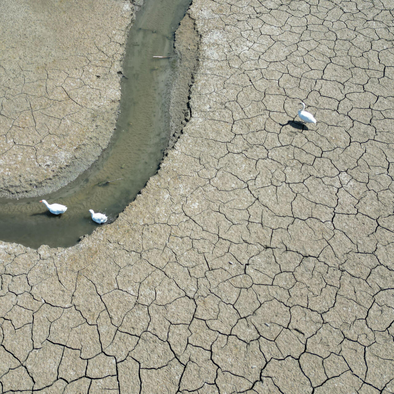 Sécheresse record en Europe et Méditerranée en août 2025
