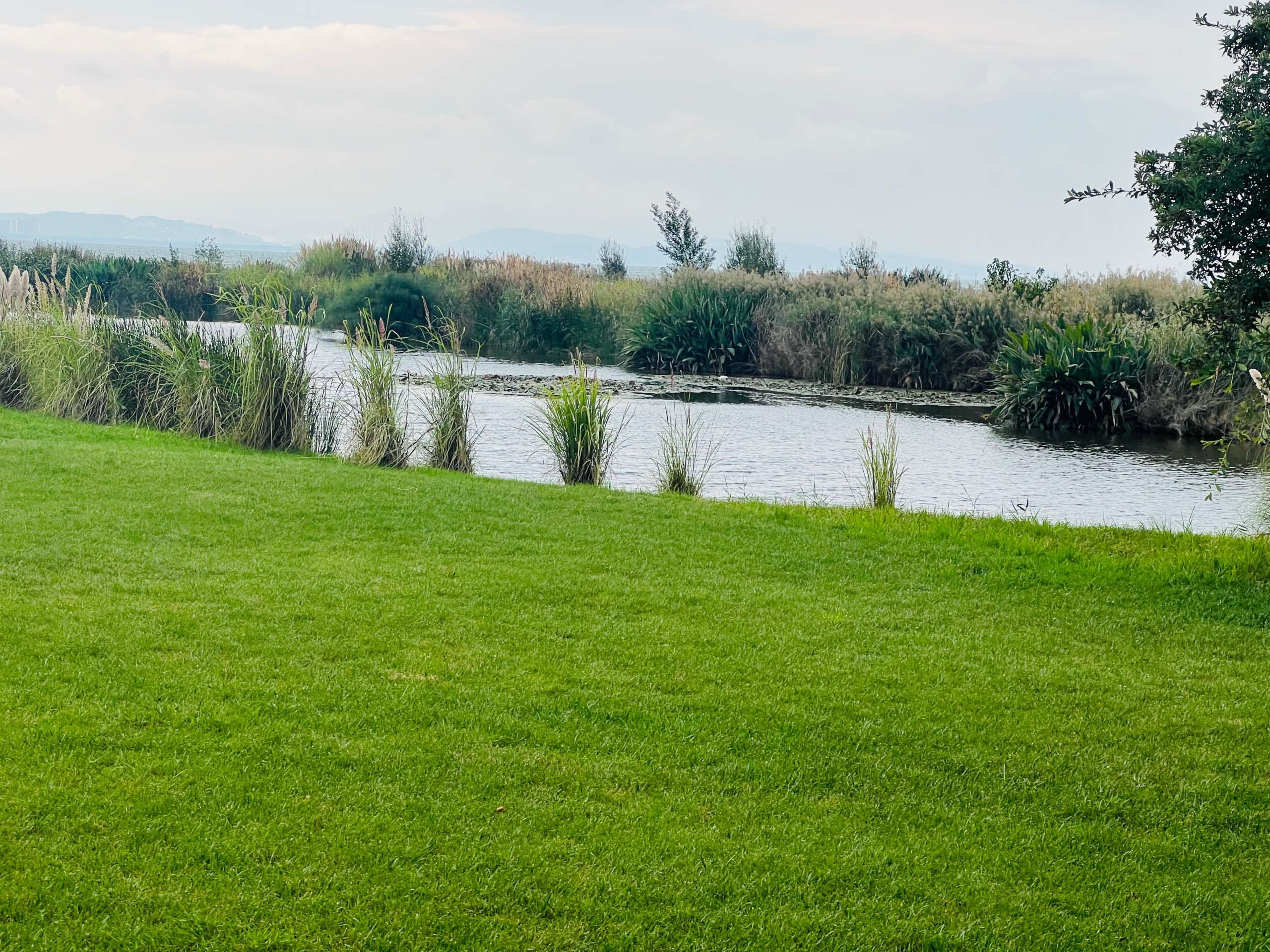 Autour du lac Dianchi en Chine : une ceinture verte pour un avenir bleu