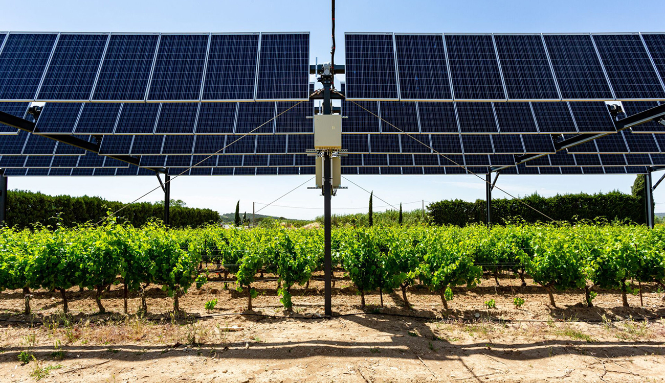 La transition énergétique au service de l’agriculture : La Tunisie s’apprête à lancer sa première expérience d’agrivoltaïsme 