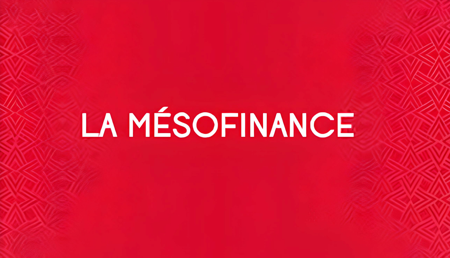 Question de la semaine : La mésofinance peut-elle combler le vide laissé par les banques ?