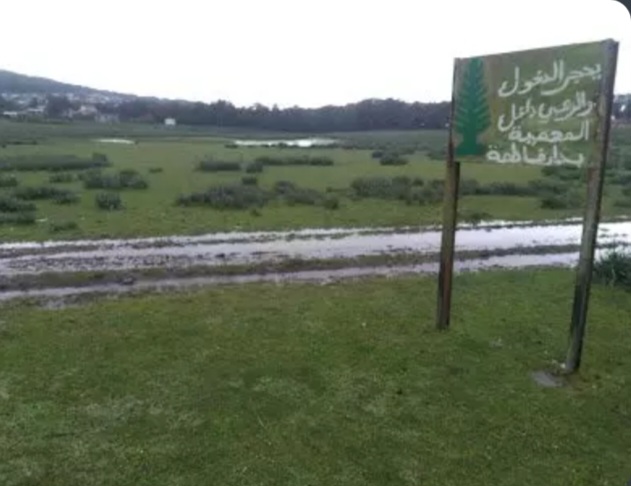 Tunisie : un projet international pour restaurer les tourbières de Dar Fatma, joyau écologique menacé