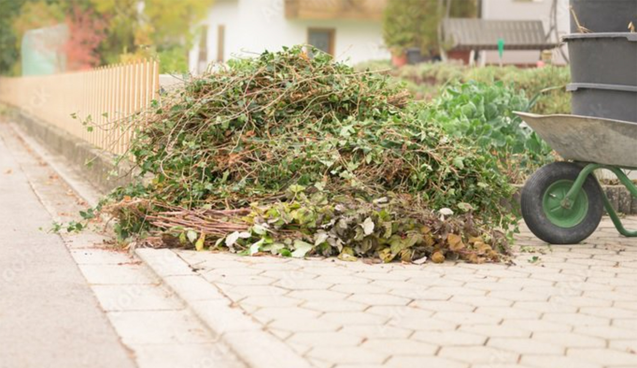 Bizerte : 2 000 tonnes de déchets verts transformés chaque année en compost