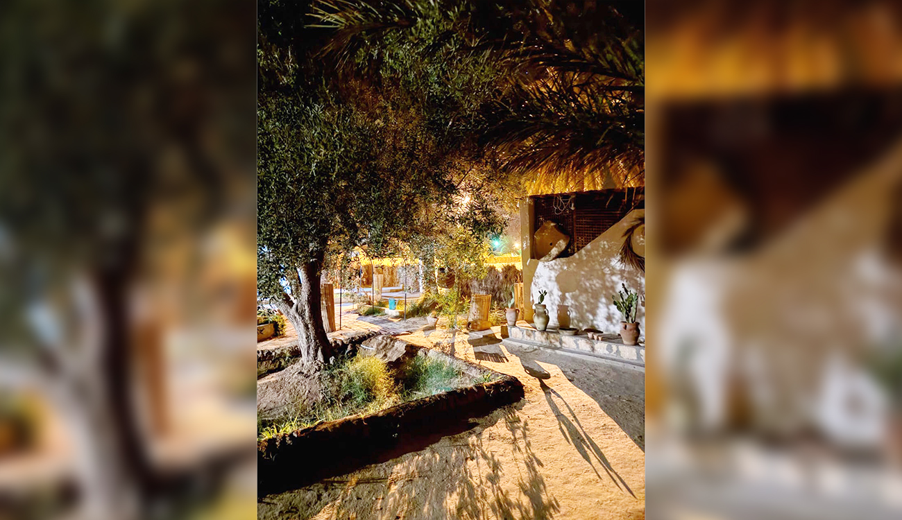 Métlaoui : Quand l’écotourisme redonne vie aux oasis de montagne