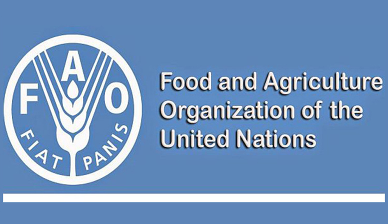 FAO : recul des prix mondiaux des produits alimentaires