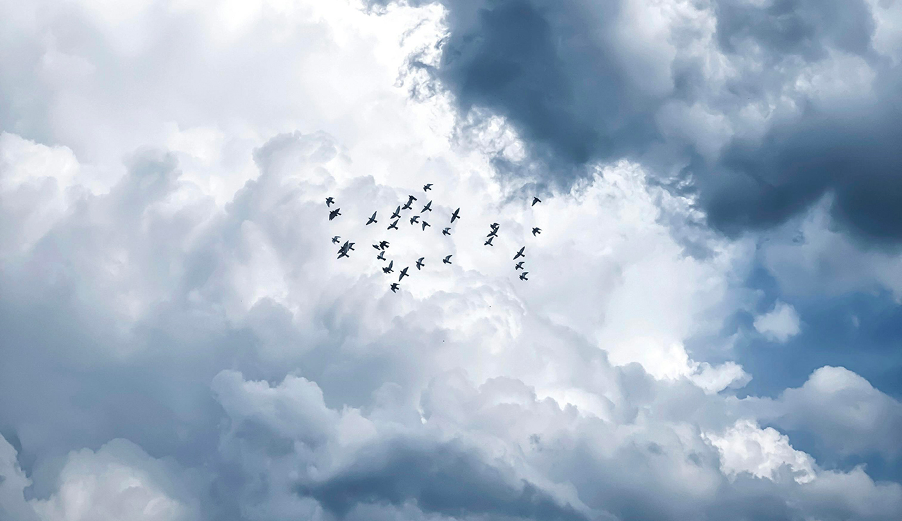 Météo : Temps nuageux avec pluies éparses au nord