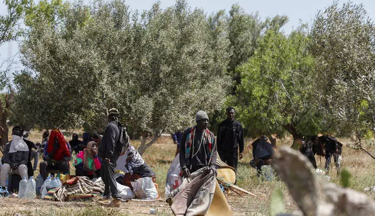 L’Afrique subsaharienne, premier foyer d’origine des migrants en Tunisie
