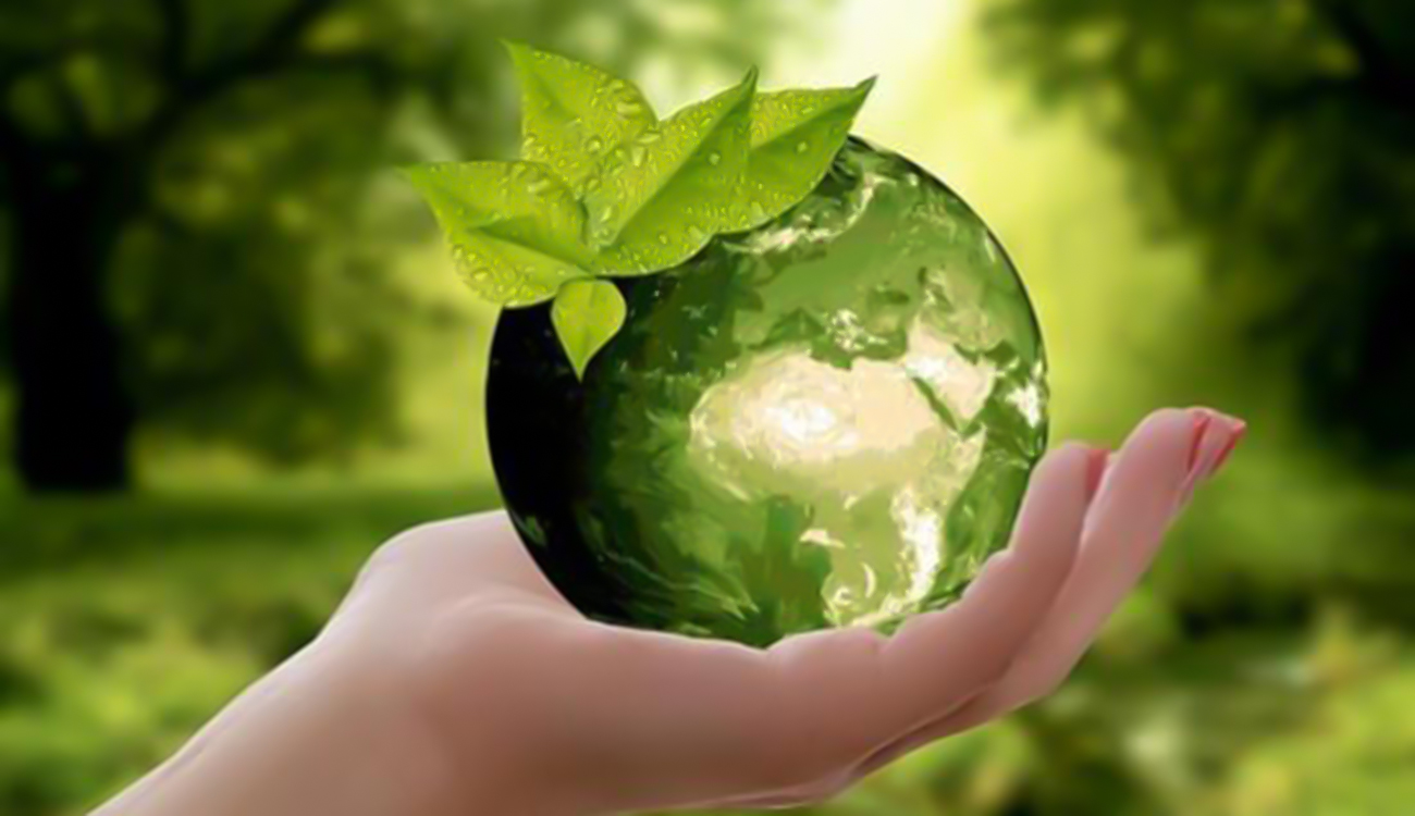 Entrepreneuriat agricole des jeunes : L’offre d’accompagnement en gestation