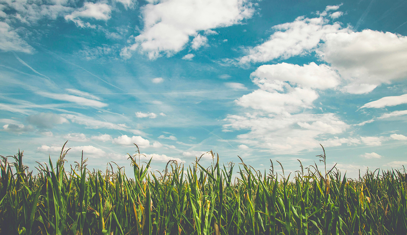 Météo : Ciel partiellement nuageux et faibles pluies sur plusieurs régions