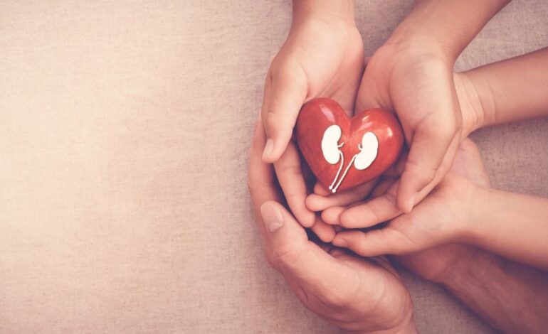 9%  des Tunisiens souffrent de maladies rénales