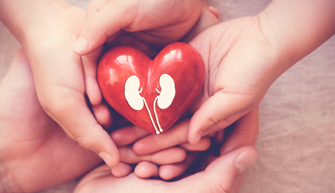 Quatre vies sauvées grâce à un seul donneur en Tunisie