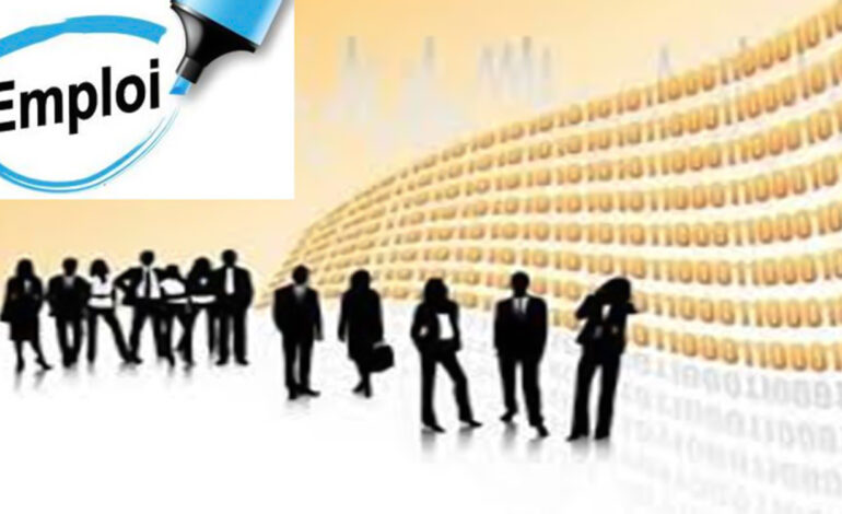 Emploi : Que faire, le diplôme ne suffit plus !