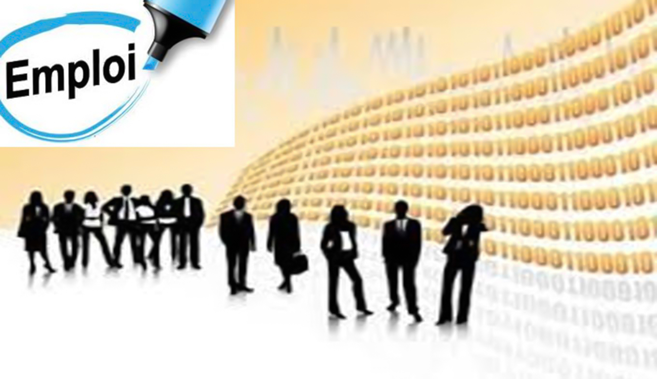 Emploi : Que faire, le diplôme ne suffit plus !