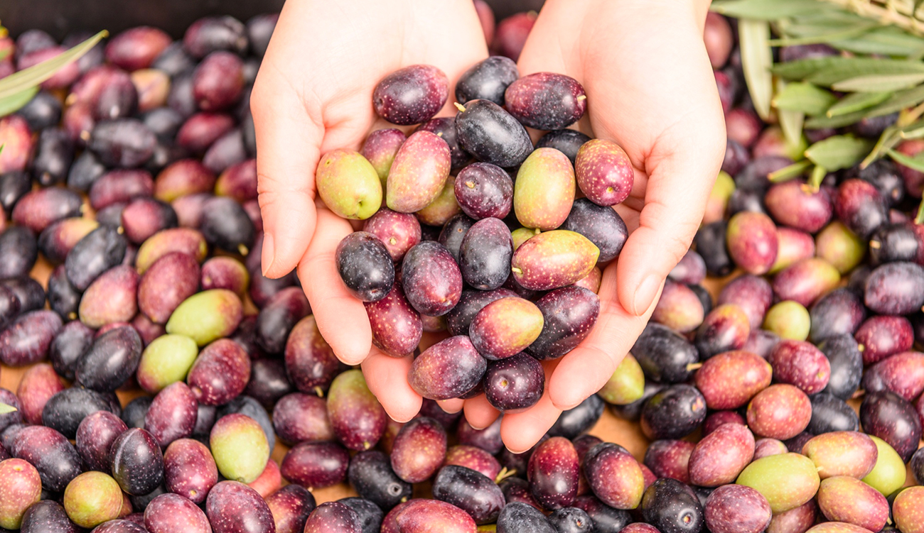 Huile d&rsquo;olive : La Tunisie vise le 2e rang mondial !