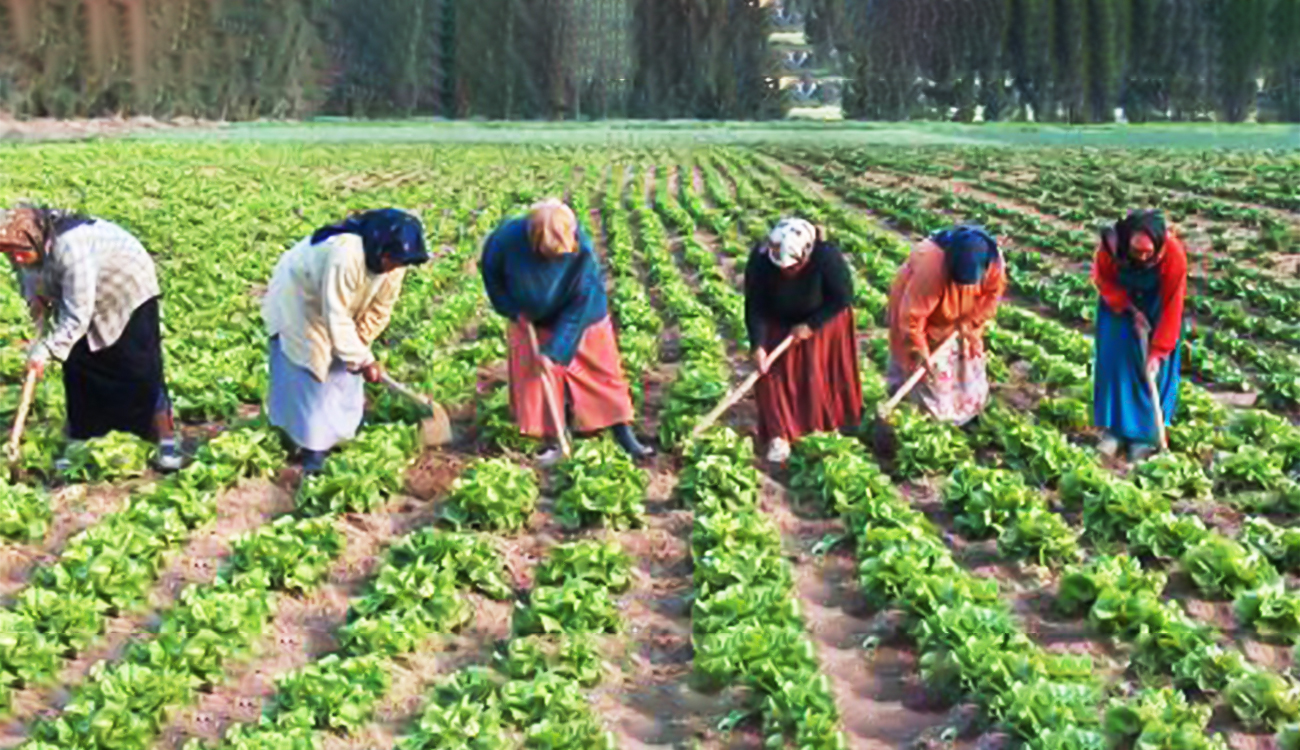 Économie verte, finance responsable et développement durable : Miser sur le leadership féminin