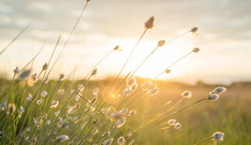 Météo : Températures maximales comprises entre 17 et 26 degrés