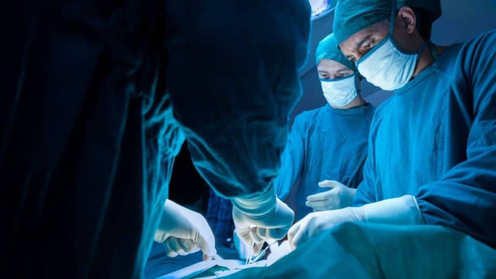 CNPTO : plus de 3400 patients en attente d&rsquo;une greffe