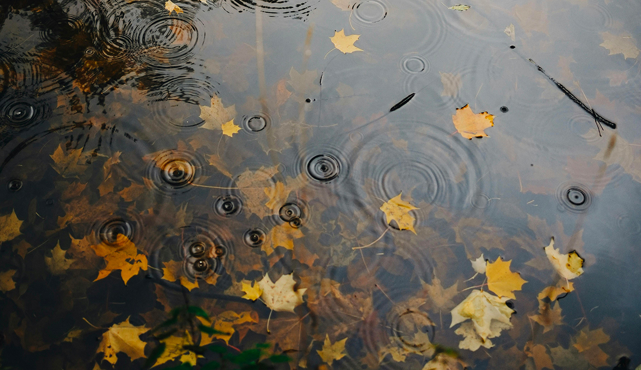 Temps partiellement nuageux et rafales jusqu’à 60 km/h cette nuit