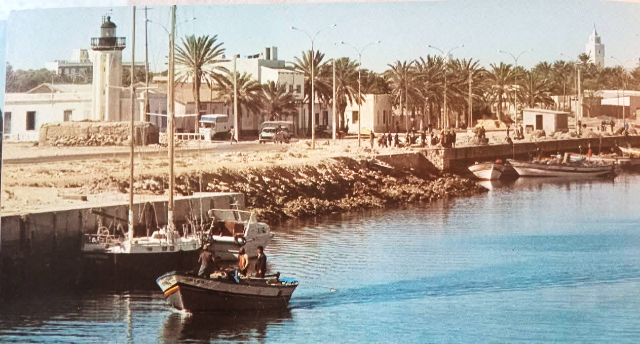 Que reste-t-il de l’unique oasis littorale de tout le bassin méditerranéen ? (photos)