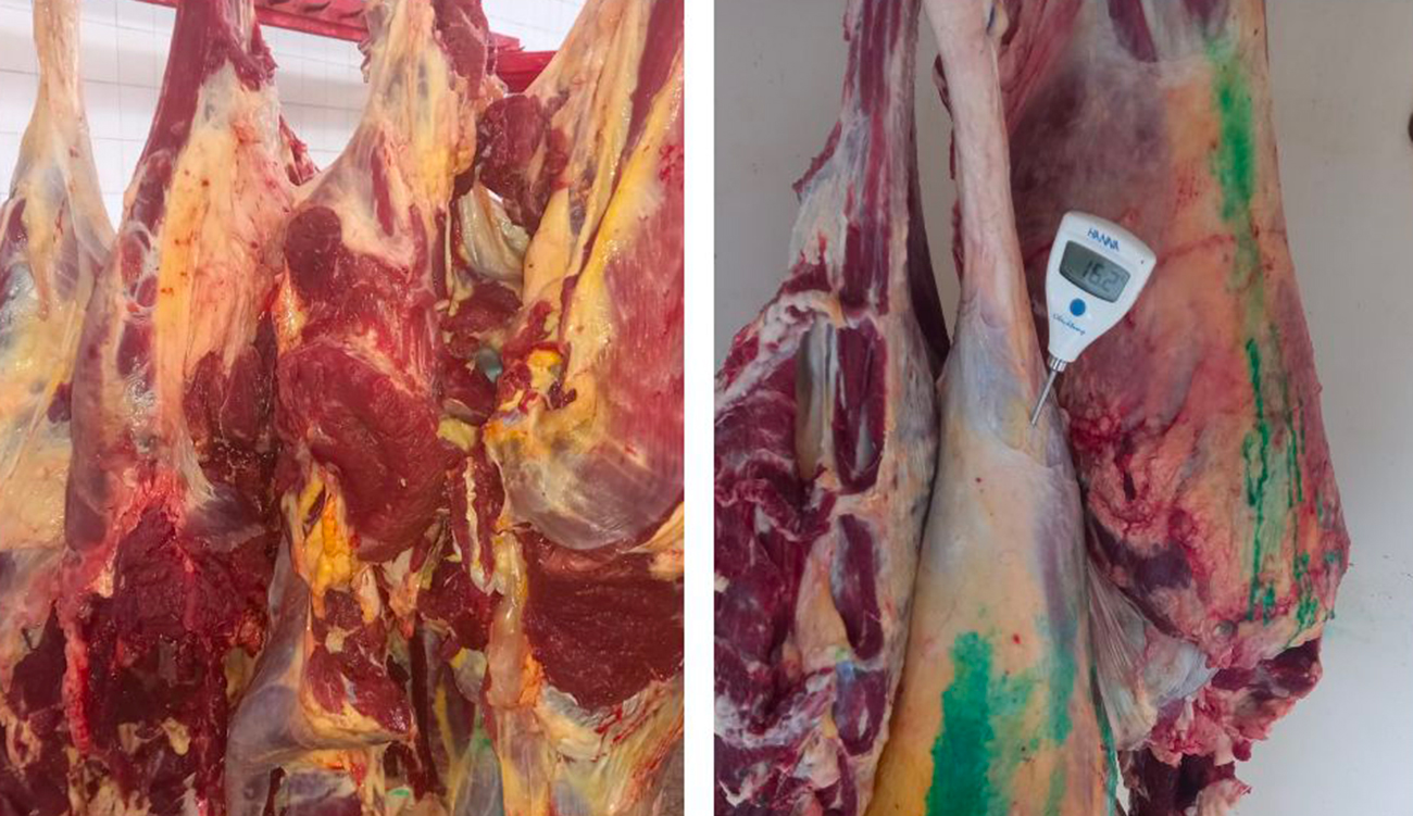 Campagne de contrôle à Tunis : 119 infractions relevées et 373 kg d&rsquo;agneau saisis