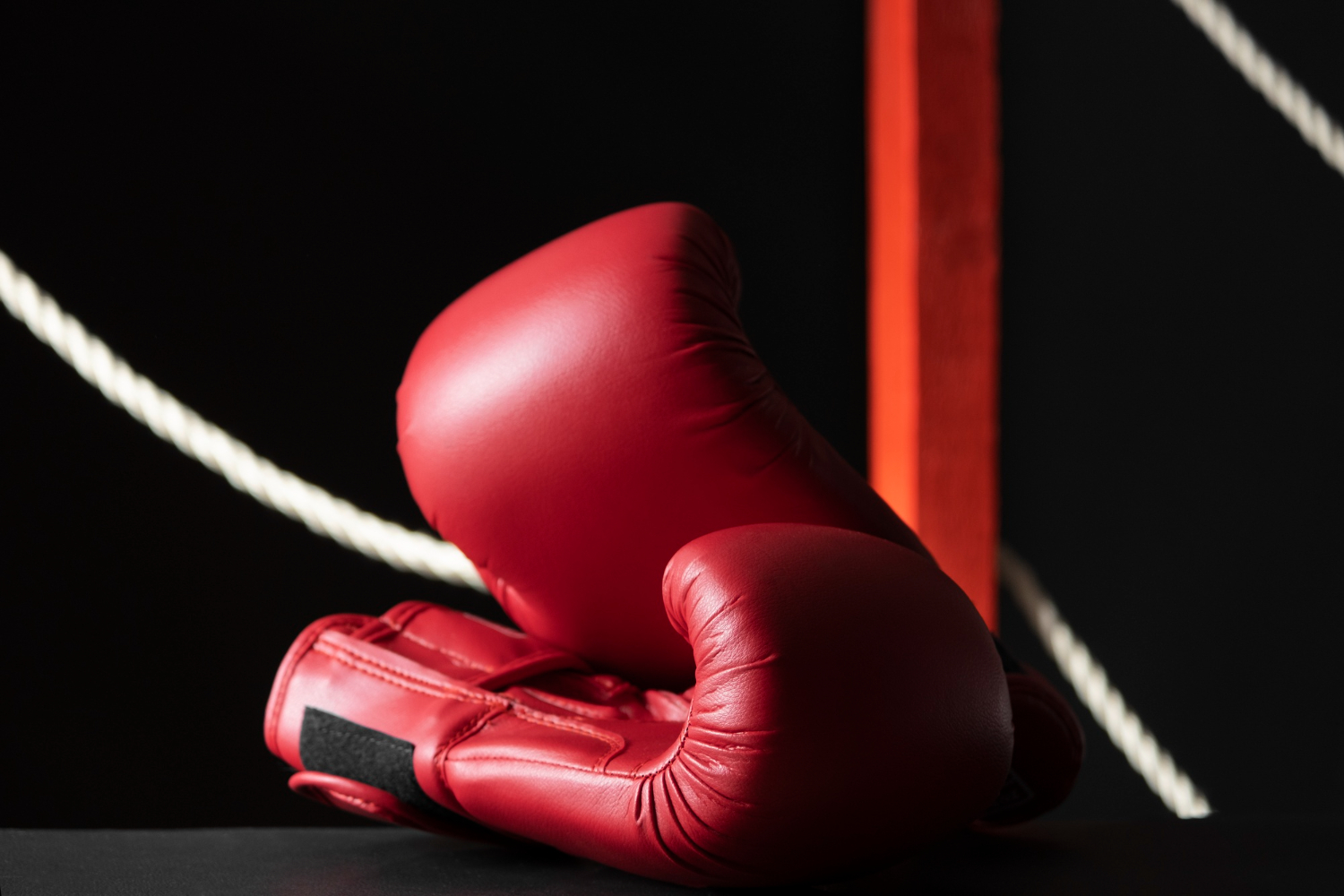 La Boxe tunisienne en otage: Les dessous d’un imbroglio administratif